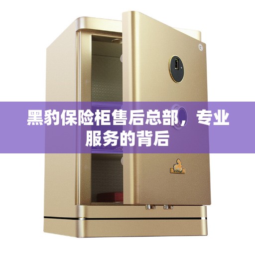 黑豹保险柜售后总部，专业服务的背后