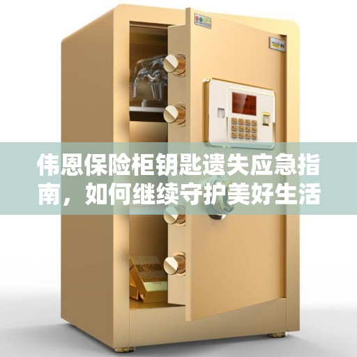 伟恩保险柜钥匙遗失应急指南，如何继续守护美好生活？