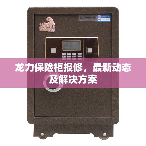 龙力保险柜报修，最新动态及解决方案