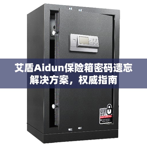 艾盾Aidun保险箱密码遗忘解决方案，权威指南