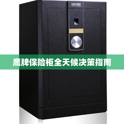 鹰牌保险柜全天候决策指南