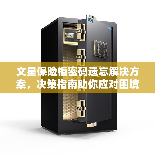文星保险柜密码遗忘解决方案，决策指南助你应对困境