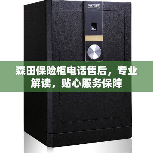 森田保险柜电话售后，专业解读，贴心服务保障