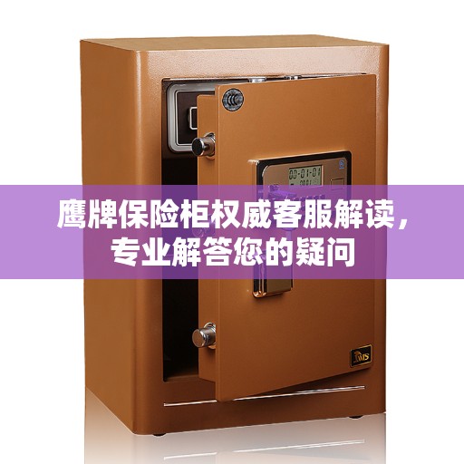 鹰牌保险柜权威客服解读，专业解答您的疑问