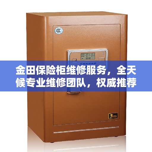 金田保险柜维修服务,全天候专业维修团队,权威推荐热线! 金田保险柜维修服务,全天候专业维修团队,权威推荐热线!