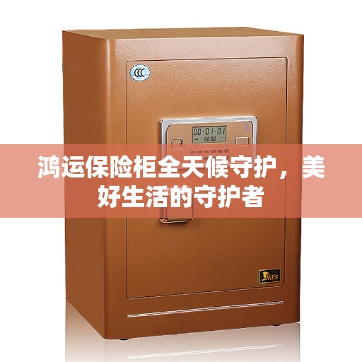 鸿运保险柜全天候守护，美好生活的守护者