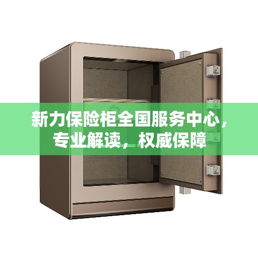 新力保险柜全国服务中心，专业解读，权威保障