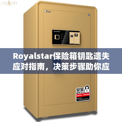 Royalstar保险箱钥匙遗失应对指南，决策步骤助你应对困境