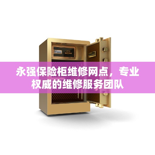 永强保险柜维修网点，专业权威的维修服务团队