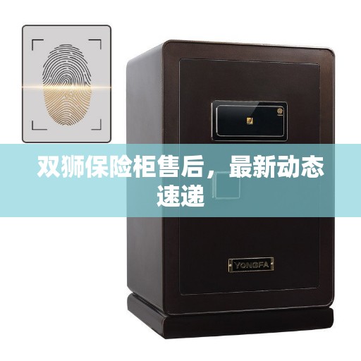 双狮保险柜售后，最新动态速递