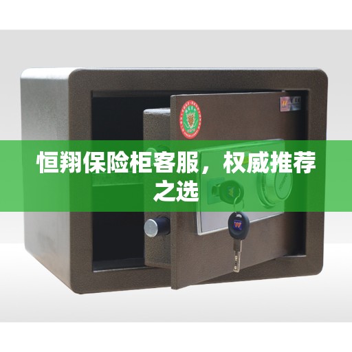 恒翔保险柜客服,权威推荐之选 恒翔保险柜客服,权威推荐之选