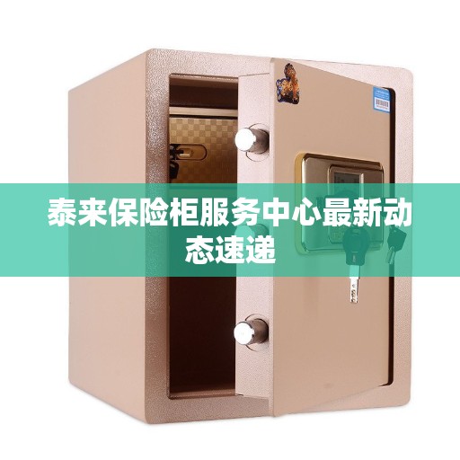 泰来保险柜服务中心最新动态速递