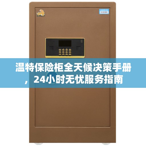 温特保险柜全天候决策手册，24小时无忧服务指南