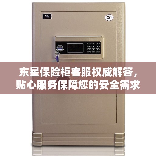东星保险柜客服权威解答，贴心服务保障您的安全需求