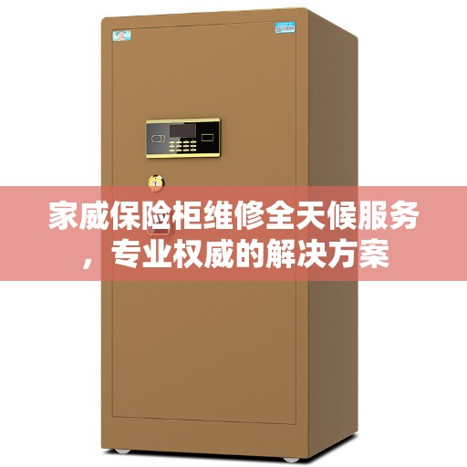 家威保险柜维修全天候服务，专业权威的解决方案