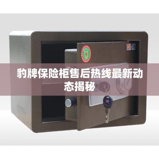 豹牌保险柜售后热线最新动态揭秘