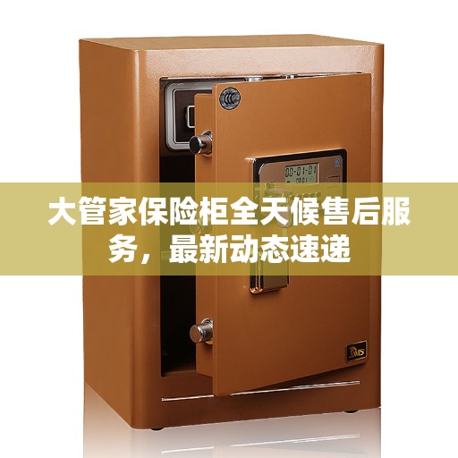 大管家保险柜全天候售后服务，最新动态速递