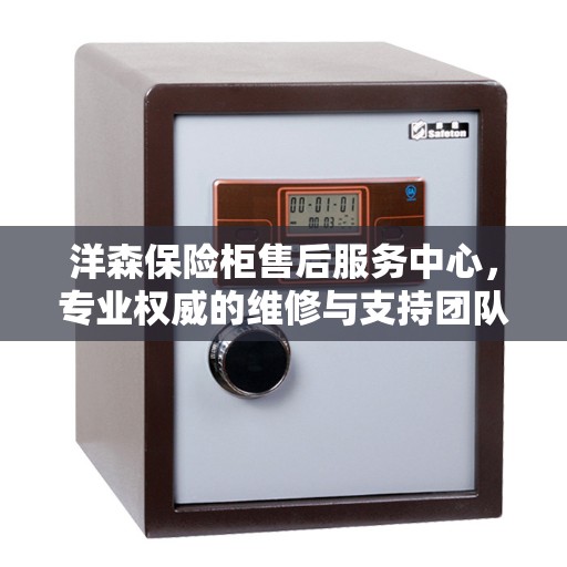 洋森保险柜售后服务中心，专业权威的维修与支持团队