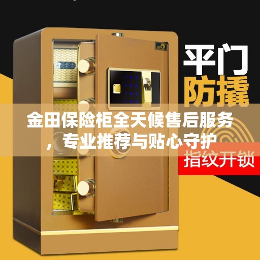 金田保险柜全天候售后服务，专业推荐与贴心守护