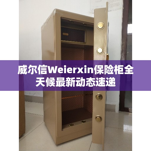威尔信Weierxin保险柜全天候最新动态速递
