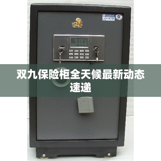 双九保险柜全天候最新动态速递