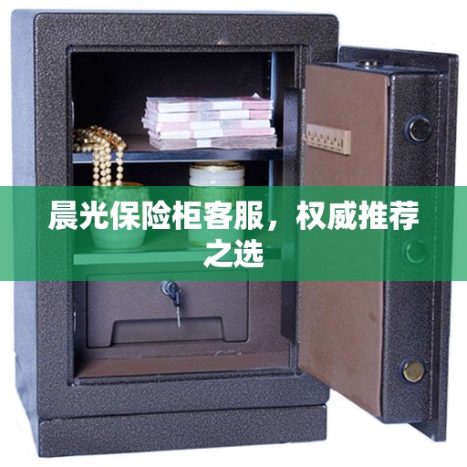 晨光保险柜客服，权威推荐之选