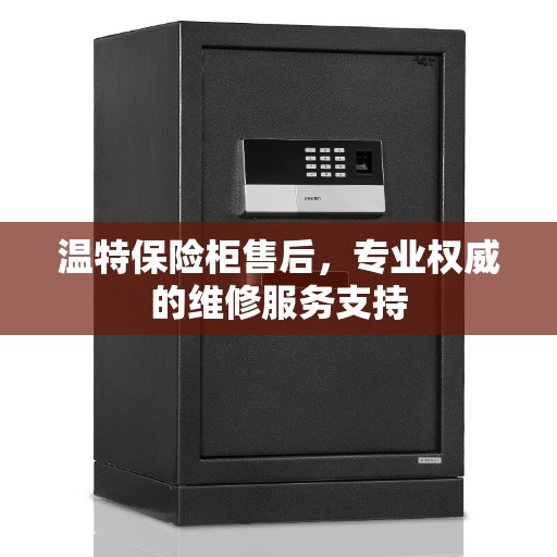 温特保险柜售后，专业权威的维修服务支持