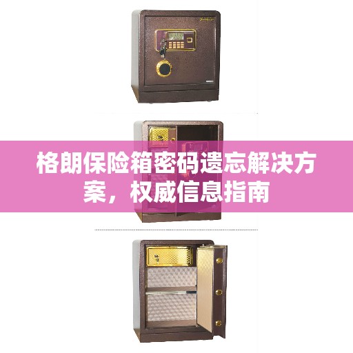 格朗保险箱密码遗忘解决方案，权威信息指南