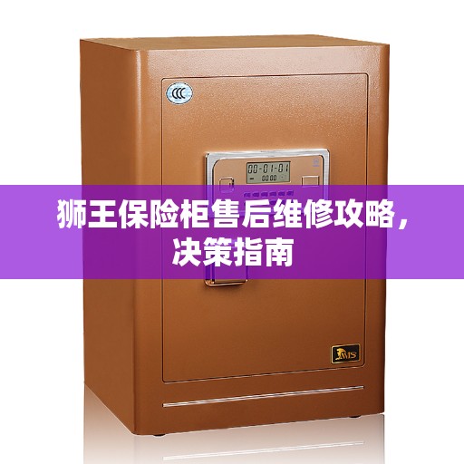狮王保险柜售后维修攻略，决策指南