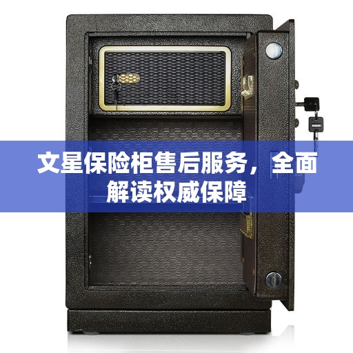 文星保险柜售后服务，全面解读权威保障