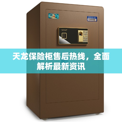 天龙保险柜售后热线，全面解析最新资讯