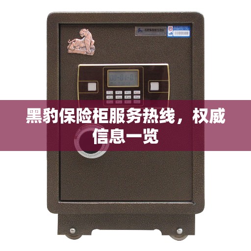 黑豹保险柜服务热线，权威信息一览