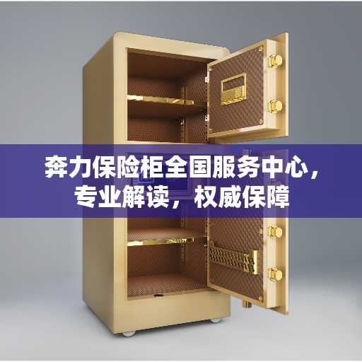 奔力保险柜全国服务中心，专业解读，权威保障