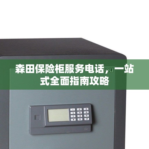 森田保险柜服务电话，一站式全面指南攻略