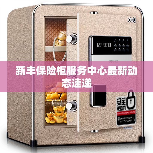 新丰保险柜服务中心最新动态速递