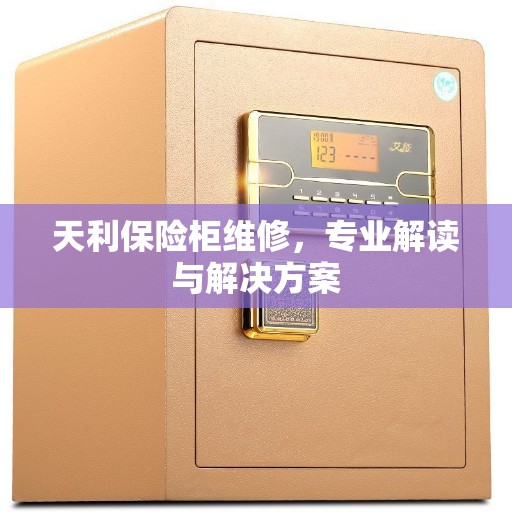 天利保险柜维修，专业解读与解决方案