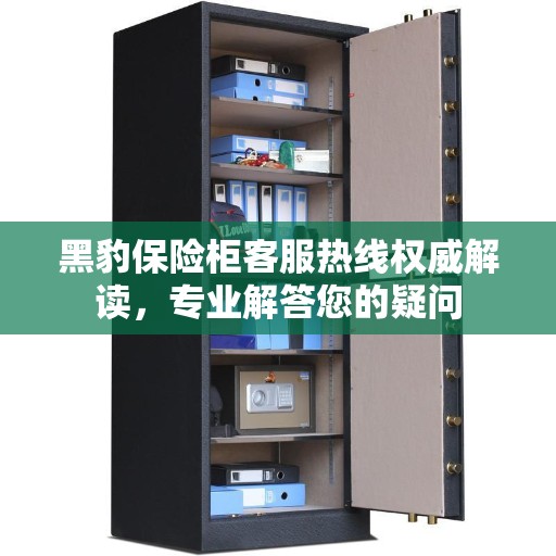 黑豹保险柜客服热线权威解读，专业解答您的疑问