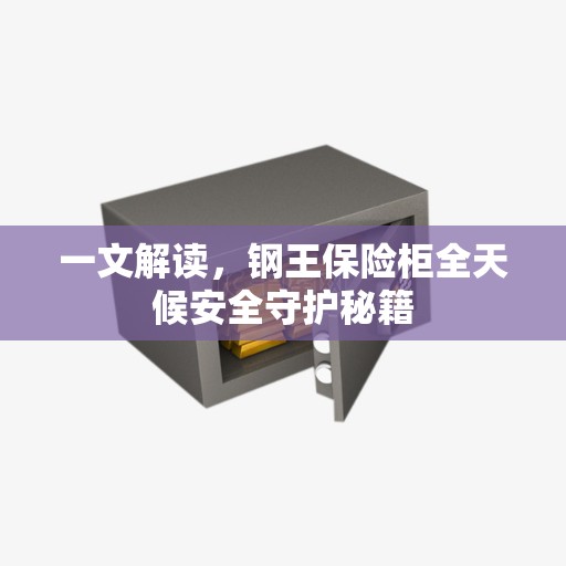 一文解读，钢王保险柜全天候安全守护秘籍