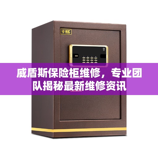 威盾斯保险柜维修，专业团队揭秘最新维修资讯