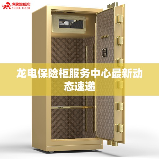 龙电保险柜服务中心最新动态速递