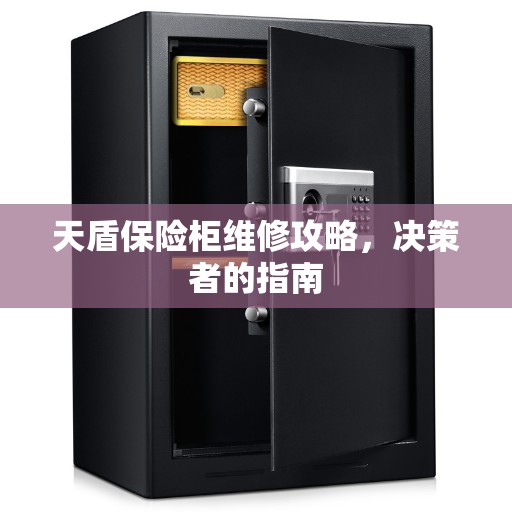 天盾保险柜维修攻略，决策者的指南