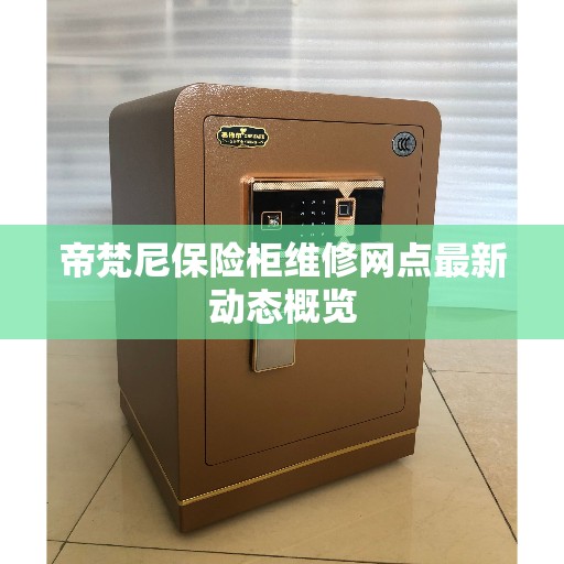 帝梵尼保险柜维修网点最新动态概览