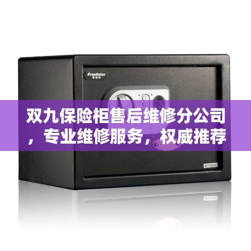 双九保险柜售后维修分公司，专业维修服务，权威推荐引领行业典范