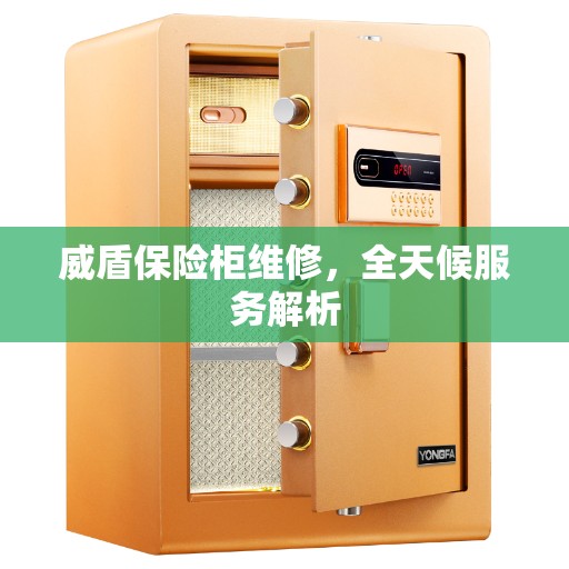威盾保险柜维修，全天候服务解析