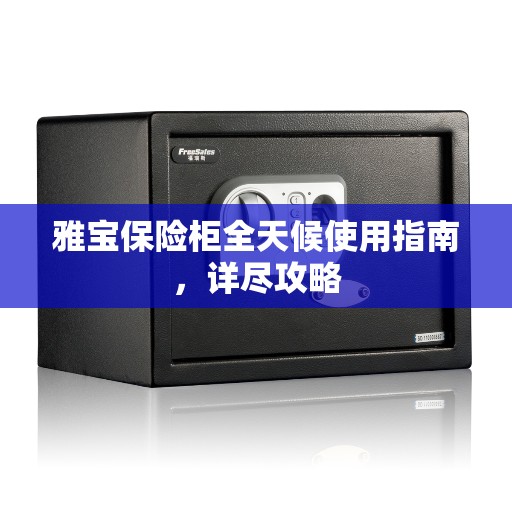 雅宝保险柜全天候使用指南，详尽攻略