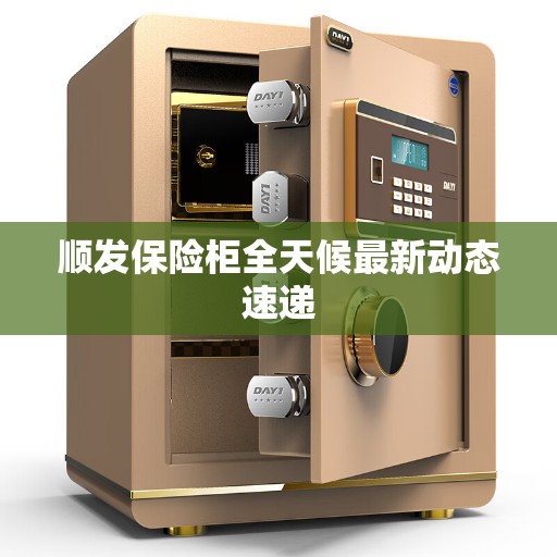 顺发保险柜全天候最新动态速递