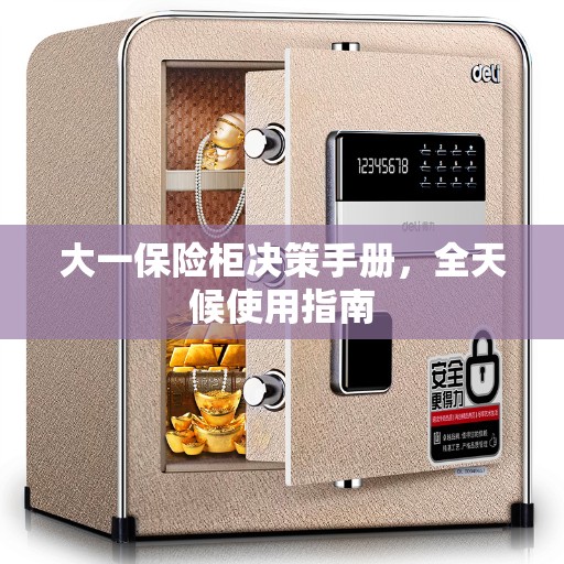 大一保险柜决策手册，全天候使用指南