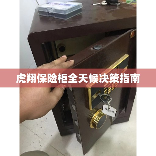 虎翔保险柜全天候决策指南