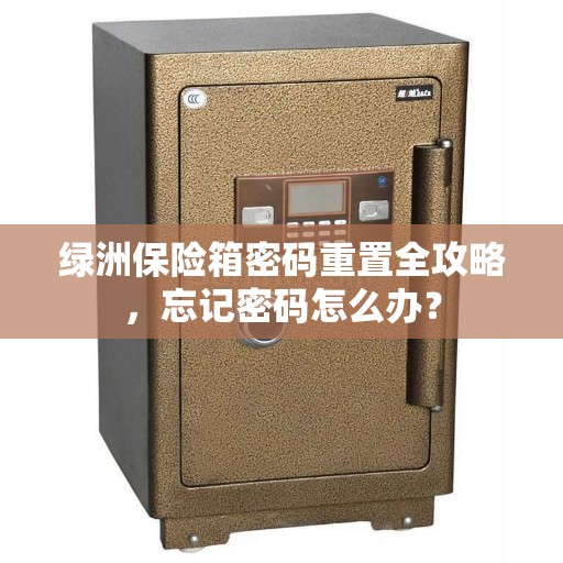 绿洲保险箱密码重置全攻略，忘记密码怎么办？