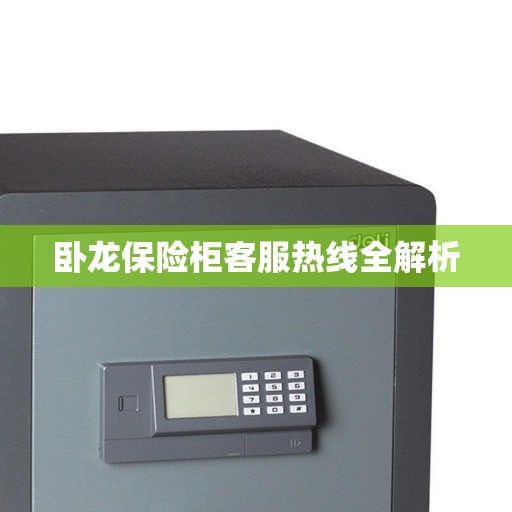 卧龙保险柜客服热线全解析